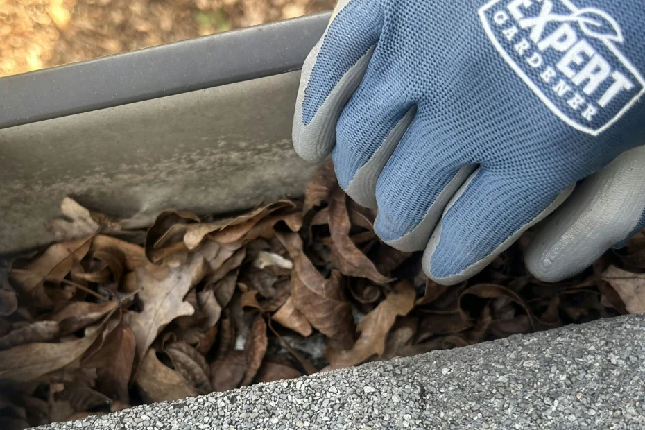 Gutter Cleaning Chamblee