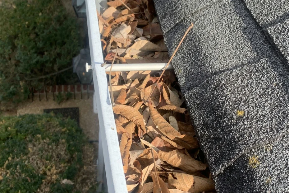 Gutter Cleaning Chamblee