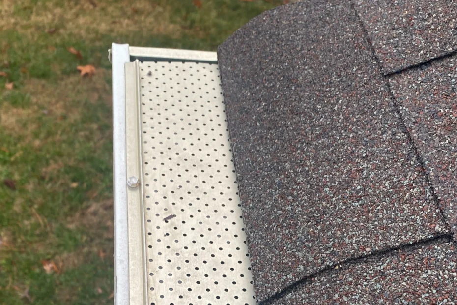 Gutter Cleaning Chamblee