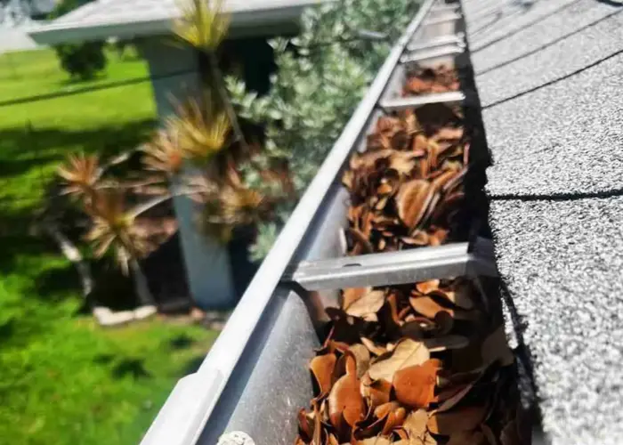 Gutter Cleaning Chamblee home page